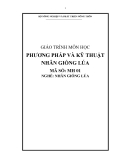 Giáo trình phương pháp và kỹ thuật nhân giống lúa