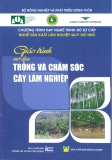 Giáo trình Trồng và chăm sóc cây lâm nghiệp - NXB Nông nghiệp