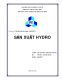 Luận văn: SẢN XUẤT HYDRO