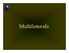 Multilaterals