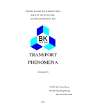 Tiểu luận:TRANSPORT PHENOMENA