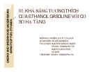 KHẢ NĂNG TƯƠNG THÍCH CỦA ETHANOL GASOLINE VỚI CƠ SỞ HẠ TẦNG