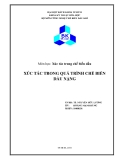 Tiểu luận:Xúc tác trong quá trình chế biến dầu nặng