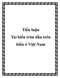 Tiểu luận Tai biến tràn dầu trên biển ở Việt Nam