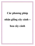 Các phương pháp nhân giống cây cảnh – hoa cây cảnh