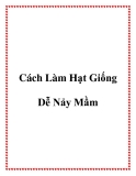 Cách Làm Hạt Giống Dễ Nảy Mầm