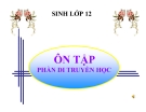 Bài giảng Sinh học 12 bài 23: Ôn tập phần di truyền học