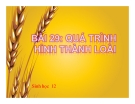 Bài giảng Sinh học 12 bài 29: Quá trình hình thành loài