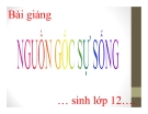 Bài giảng Sinh học 12 bài 32: Nguồn gốc sự sống