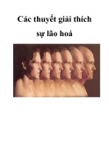 Các thuyết giải thích sự lão hoá