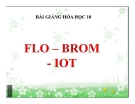Bài giảng Hóa học 10 bài 25: Flo – Brom – Iot