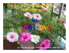 Bài giảng Sinh học 11 bài 24: Ứng động