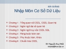 Bài giảng nhập môn cơ sở dữ liệu - Nguyễn Duy Nhất