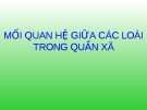 Mối quan hệ giữa các loài trong quần xã