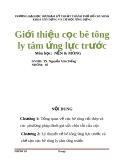 Tiểu luận: Giới thiệu cọc bê tông ly tâm ứng lực trước