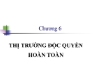 Bài giảng kinh tế vi mô - Chương 6 Thị trường độc quyền hoàn toàn