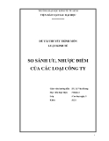 Tiểu luận:So sánh ưu, nhược điểm của các loại công ty