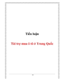 Tiểu luận: Tài trợ mua ô tô ở Trung Quốc