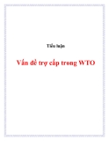 Tiểu luận:Vấn đề trợ cấp trong WTO