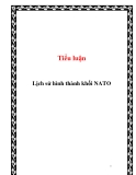 Tiểu luận:Lịch sử hình thành khối NATO