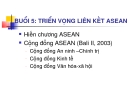 Triển vọng liên kết ASEAN 