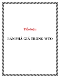 Tiểu luận:Bán phá giá WTO