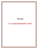 Tiểu luận:Cơ sở hình thành khối NATO (Bài tập nhóm)