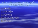 Bài giảng: Cán cân thanh toán quốc tế của Việt Nam