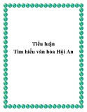 Tiểu luận: Tìm hiểu văn hóa Hội An