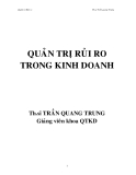 Quản trị rủi ro trong kinh doanh - Trần Quang Trung