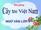 Bài giảng Ngữ văn 6 bài 26: Cây tre Việt Nam