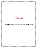 Tiểu luận: Phòng ngừa rủi ro cho các ngân hàng