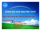 Tiểu luận: Đồng bộ hóa nguyên thủy