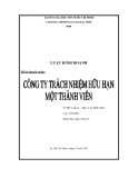 Tiểu luận: Công ty trách nhiệm hữu hạn một thành viên