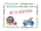 Bài giảng Sinh học 10 bài 19: Giảm phân