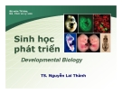 Sinh học phát triển (TS Nguyễn Lai Thành) - Chương 2.1