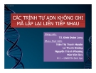 Tiểu luận:  Các trình tự  ADN không ghi mã lặp lại liên tiếp nhau