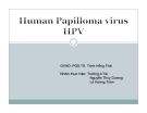 Tiểu luận: Human papilloma virus HPV