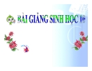 Các yếu tố ảnh hưởng đến sinh trưởng của vi sinh vật: Bài giảng Sinh 10 CB