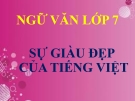 Bài giảng Ngữ văn 7 bài 21: Sự giàu đẹp của Tiếng Việt