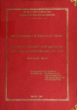 Đề tài: Một số giải pháp phát triển hoạt động xuất khẩu lao động tại chỗ ở Việt Nam
