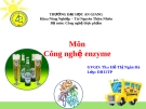 Công nghệ enzyme - Ứng dụng enzyme trong sản xuất bia