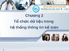 Hệ thống thông tin kế toán - Tổ chức dữ liệu trong hệ thống thông tin kế toán Chương 2