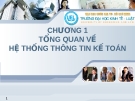 Hệ thống thông tin kế toán - Chương 1 Tổng quan về hệ thống thông tin kế toán