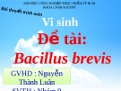 Thuyết trình: Bacillus Brevis