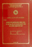 Luận văn: Nghiên cứu nguyên nhân thành công và thất bại của các doanh nghiệp trên sàn chứng khoán Việt Nam