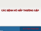 Bài giảng Các bệnh hô hấp thường gặp - Bs. Lê Ngọc Thuận Ngân