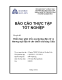 Báo cáo thực  tập tốt nghiệp: Chiến lược phát triển marketing điện tử và thương mại điện tử cho chuỗi cửa hàng Calia