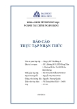 Báo cáo thực tập nhận thức: Công ty CP Tôn Đông Á