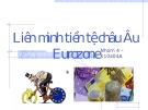 Tiểu luận; Liên minh tiền tệ châu Âu Eurozone